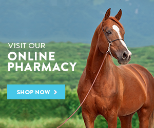 Theravet Pharmacy On-line